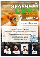 "Зеленый свет", Лауреат 3 Степени, Современный танец, 14-16 лет Носовой А. за композицию "Внутри шёлка", г. Зеленоград