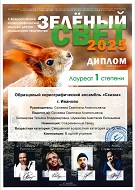 "Зеленый свет", Лауреат 1 Степени, Современный танец, Смешанная категория, гр. Ирис за композицию "В одной упряжке", г. Зеленоград